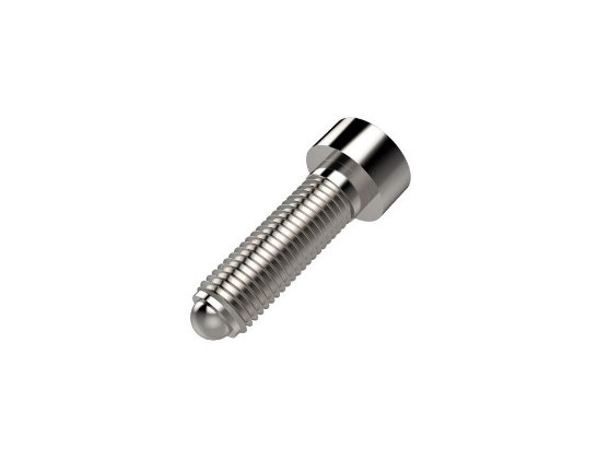 不锈钢头球头止推螺钉 Ball-end thrust screws with head stainless steel