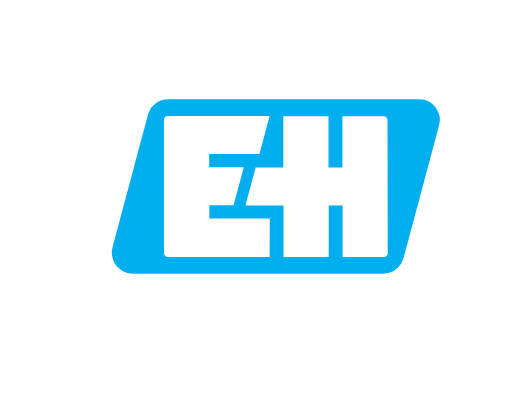 Endress+Hauser 瑞士恩德斯豪斯