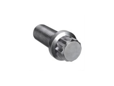 12 Point Ferry Cap Screws，12角法兰头螺丝，Flange 12-Point Screws